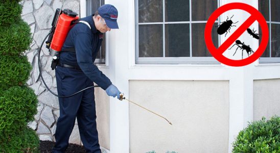 Pendik Gümüşkurt İlaçlama böcek ilaçlama ve haşere kontrolü — ilaclama-tr.com